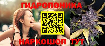 бошки Дубна