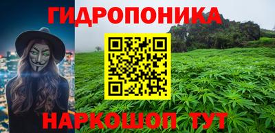 бошки Дубна